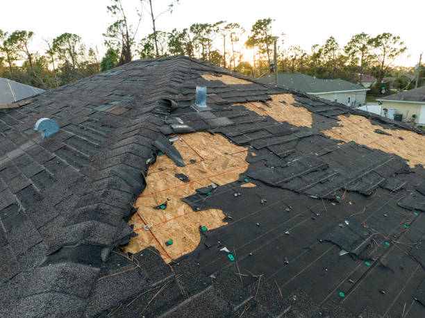 Professional Roofing Services in Pender, NE